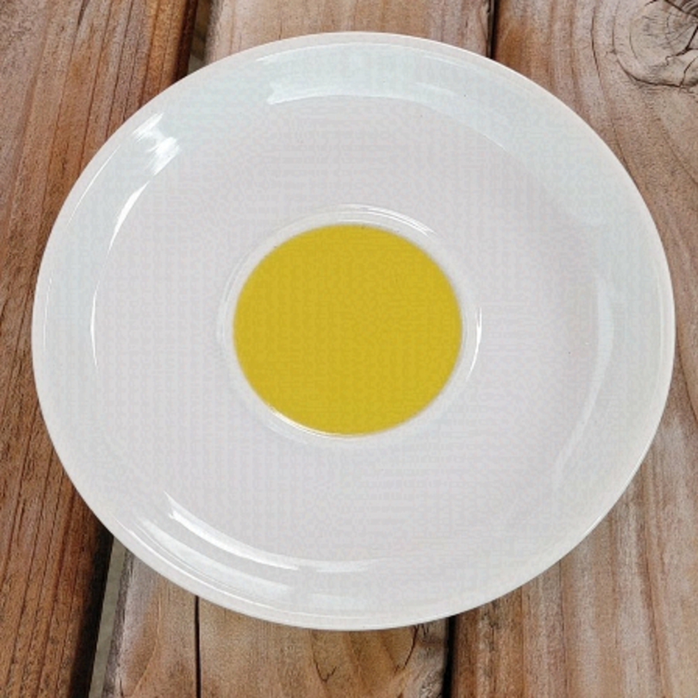 Nescafe Dolce Gusto Plate Great Replacement